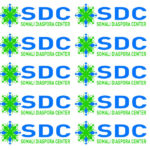ABOUT SOMALI DIASPORA CENTER,